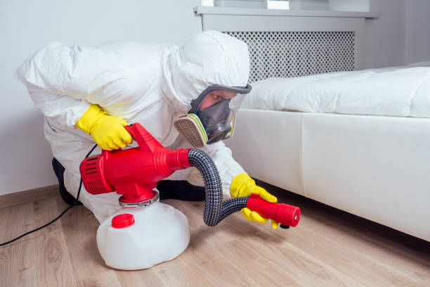Best Commercial Pest Control Services  in Everett, MA