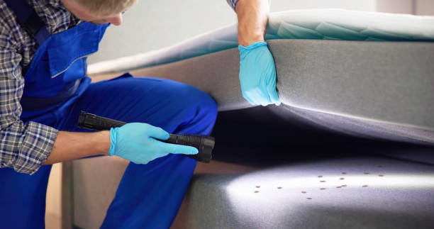 Best Pest Inspection Near Me  in Everett, MA