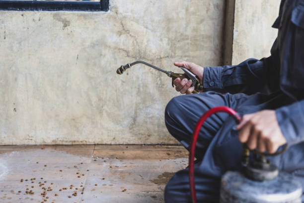 Best Pest Control Treatment  in Everett, MA